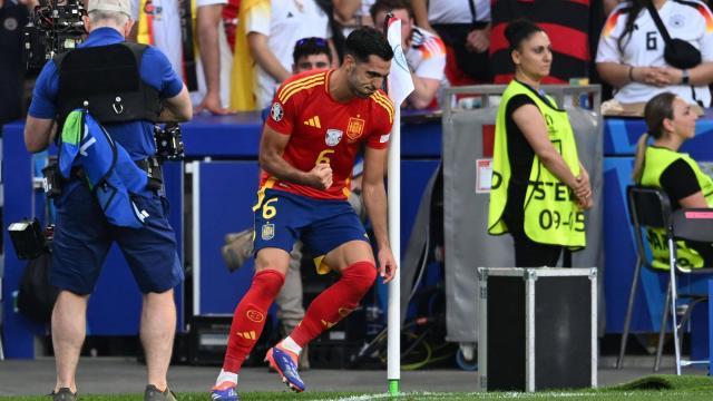 1720236404120059222.jpg merino 2.jpg